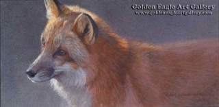 Questing - Red Fox
