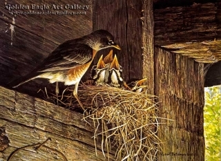 Robins at the Nest