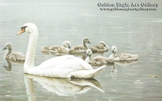 Royal Family - Mute Swans
