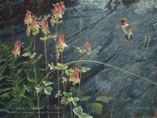 Ruby-Throat and Columbine