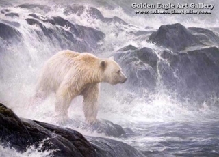 Salmon Watch - Spirit Bear