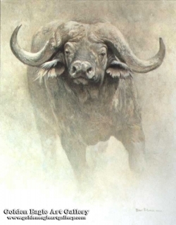 Sappi - African Buffalo