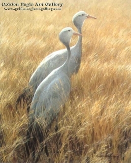 Sappi - Blue Cranes