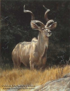 Sappi - Kudu