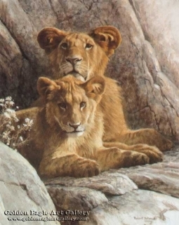 Sappi - Lion Cubs