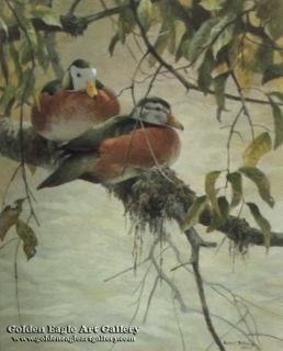 Sappi - Pygmy Geese