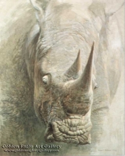 Sappi - White Rhinoceros