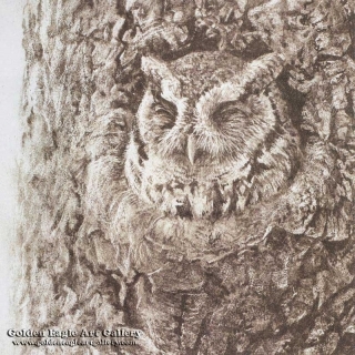 Screech Owl in Apple Tree