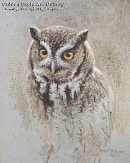 Screech Owl Study