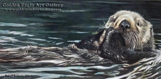 Sea Otter Study
