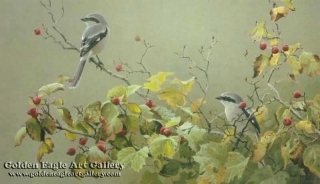 Shrike Pair and Hawthorne