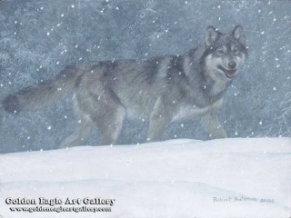 Snowfall Wolf