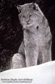 Snowy Range - Canada Lynx