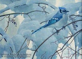Snowy Morning - Blue Jay