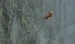 Song of the South - Carolina Wren