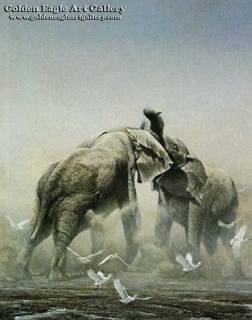 Sparring Elephants