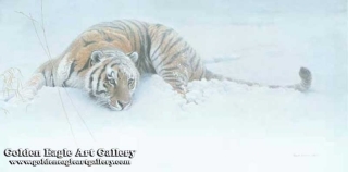 Sudden Move - Siberian Tiger