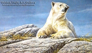Summertime - Polar Bear