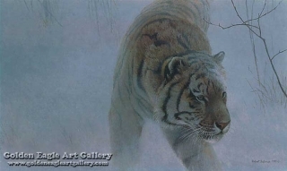 Twilight - Siberian Tiger