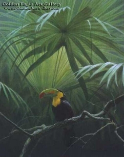 Under the Canopy - Toucan