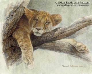 Up a Tree - Lion Cub