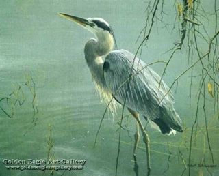 Wading Heron and Willow