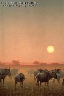 Wildebeest Sunset