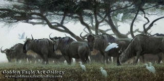 Wildebeest and Egrets