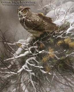 Winter Pine - Great Horned Owl
