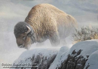 Winter Bison