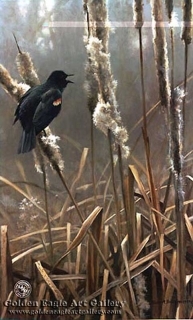 Winter Cattails - Red-Winged Blackbird