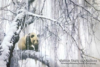 Winter Filigree - Giant Panda