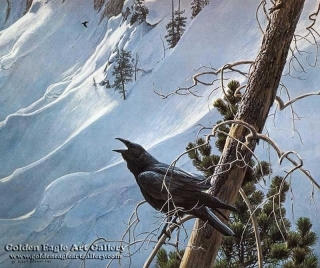 Winter in the Mountains - Raven
