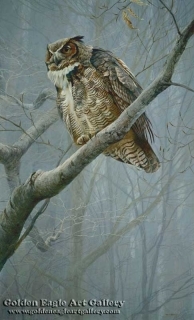 Winter Mist - Great Horned Owl