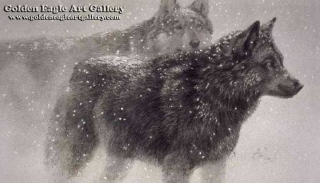 Wolf Pair in Winter