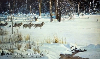 Wolves on the Trail